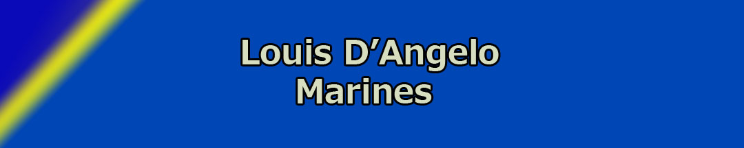 Louis D'Angelo Banner